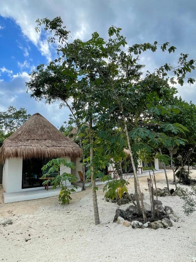 The Reserve Tulum Extérieur photo